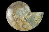 Agatized Ammonite Fossil (Half) - Madagascar #139691-1